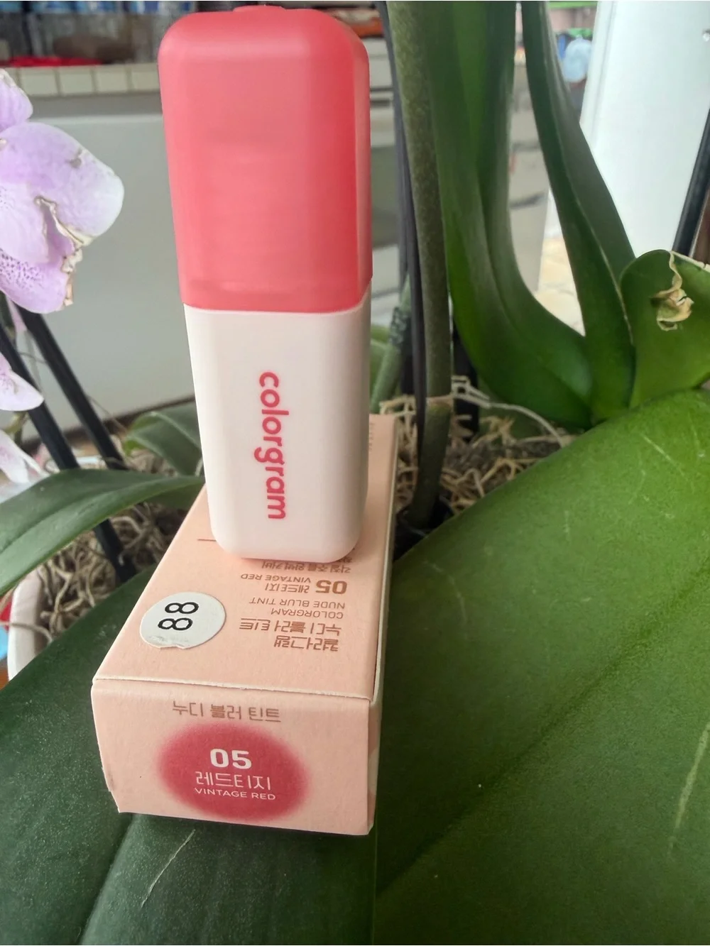 Colorgram Nude Blur Tint Stick - 05 Coral Pink